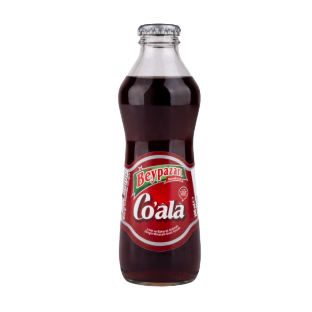 BEYPAZARI COALA WITH LIME SPICE 200ML 24 PCS