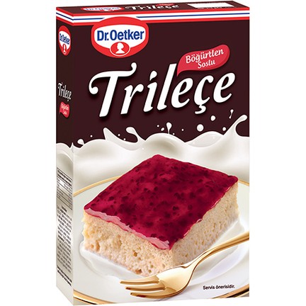 DR OETKER TRILECE BOGURTLEN SOSLU 315 GR 8 PCS